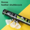my-11134207-7r98x-lzr20kvq0rc011.webp Agnite Goose Feather Shuttlecock 6PCS