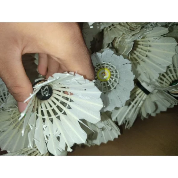 my-11134207-7rasc-m9oqj0rbqsdw61.webp Used Badminton Shuttlecock