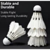 my-11134207-820le-mhpwpyoekagxae.webp BB AK Training Shuttlecock 3 Pcs