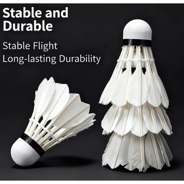 my-11134207-820le-mhpwpyoekagxae.webp BB AK Training Shuttlecock 3 Pcs